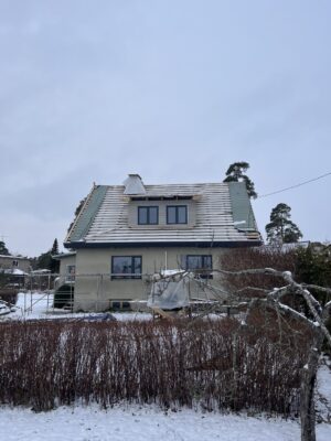 IMG_4260
